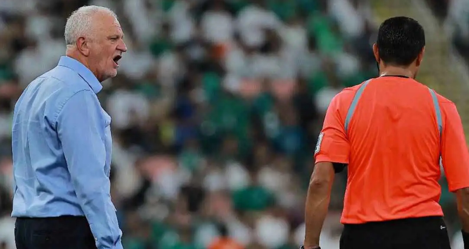 去捍卫进入, 日世界杯亚